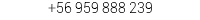 +56 959 888 239